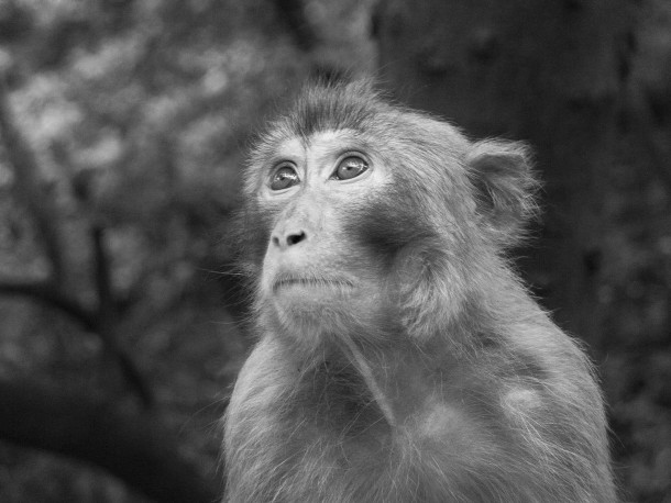 china20110808_449